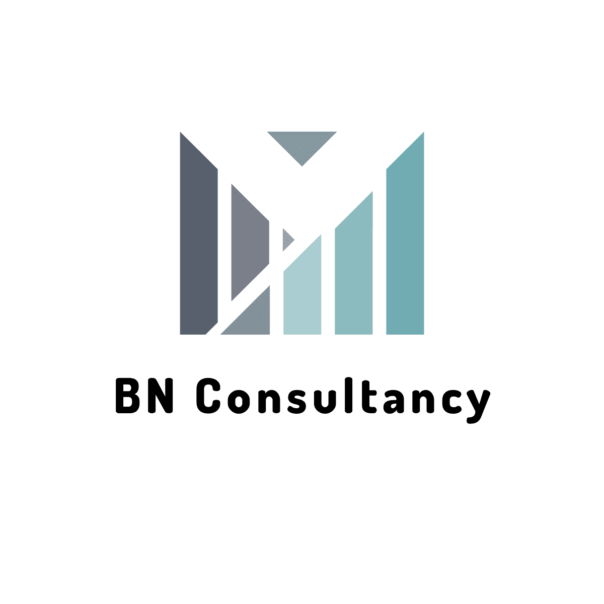 Noest Consultancy
